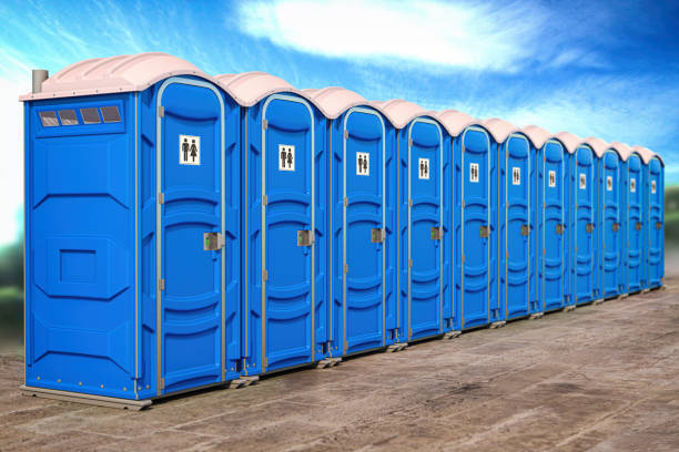 Best Eco-Friendly Portable Toilets  in Holliday, TX